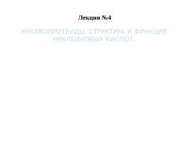 Нуклеопротеиды. Структура и функция нуклеиновых кислот. (Лекция 4)