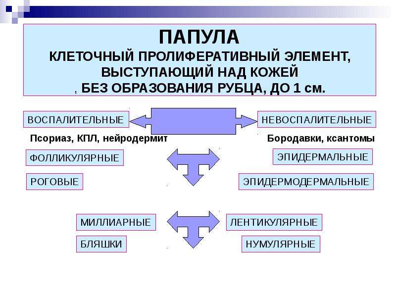 Общая дерматология презентация