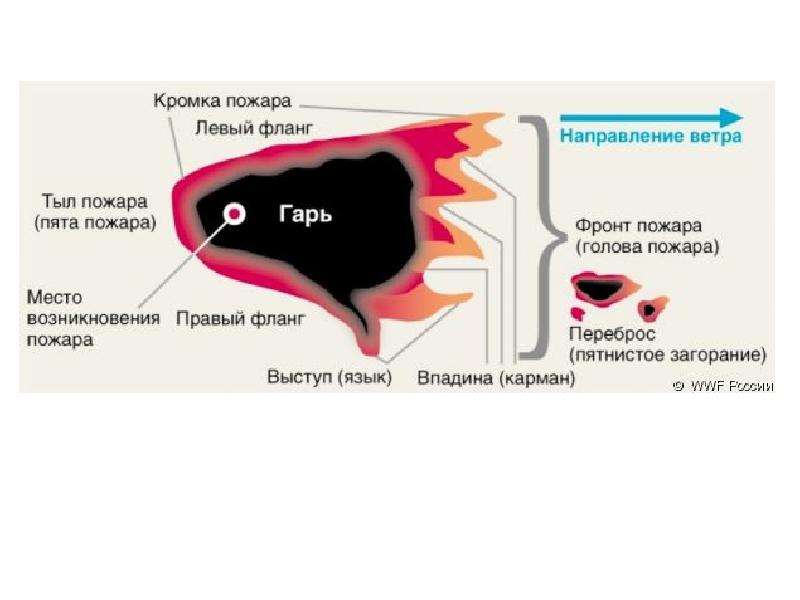 Схема лесного пожара