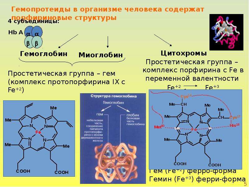 Получение структура. Образование порфирина. Порфирины биохимия. Получение порфиринов. Парафириновые комплексы.