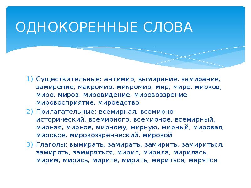 Проект словарь одного слова 5 класс