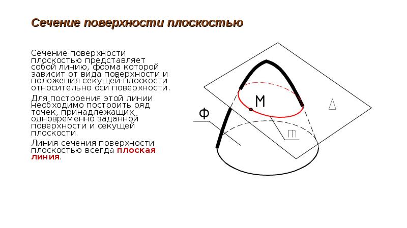 Найдите площадь сечения поверхности плоскостью