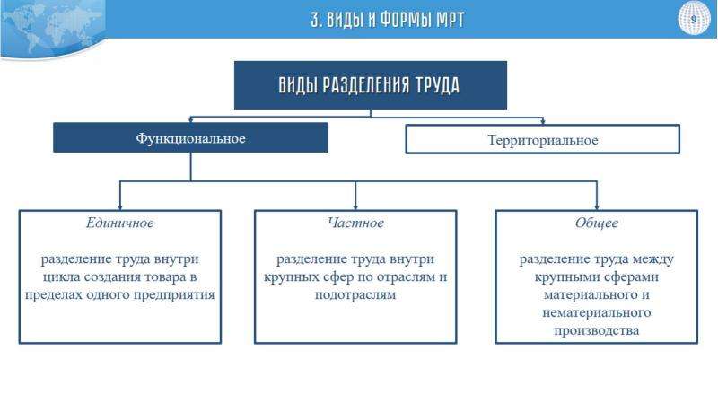 Сферы производства и разделение труда проект