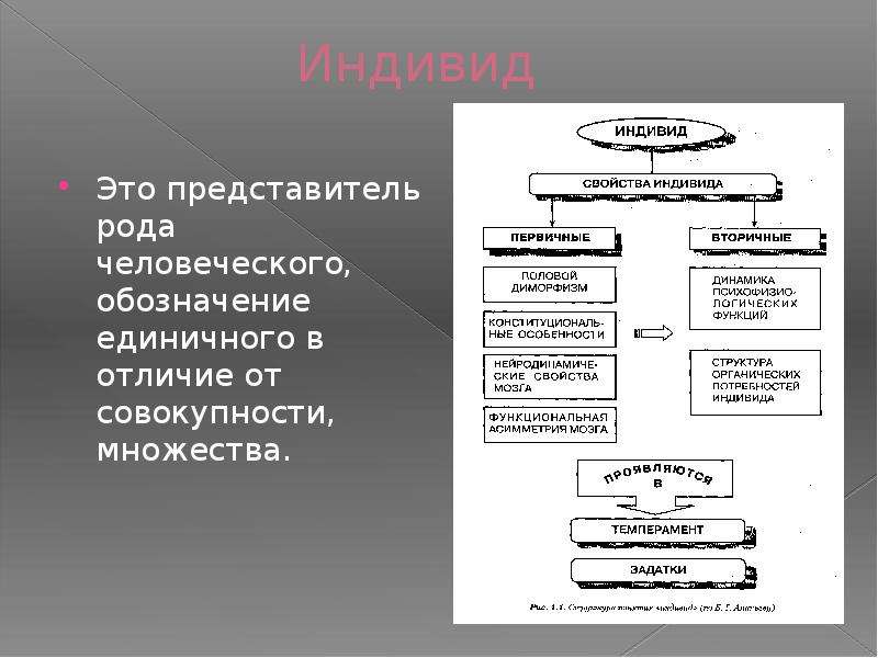 Личность единичный представитель человеческого рода. Индивид это представитель человеческого рода. Химический индивид это. Единичный представитель человеческого рода. Обозначение индивида в группе.