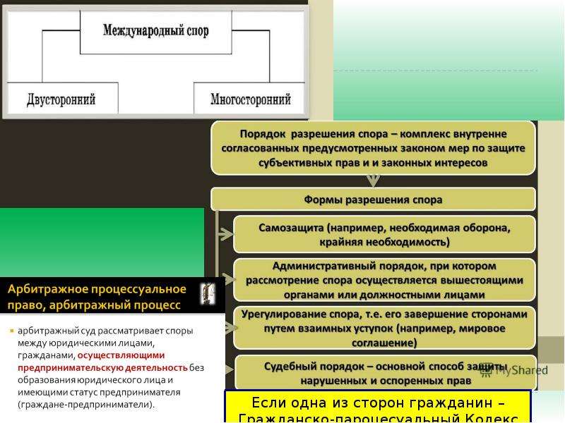 Презентация по теме международная защита прав человека 10 класс