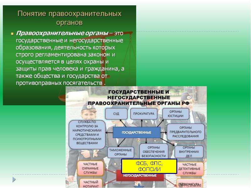 Система международной защиты прав человека план