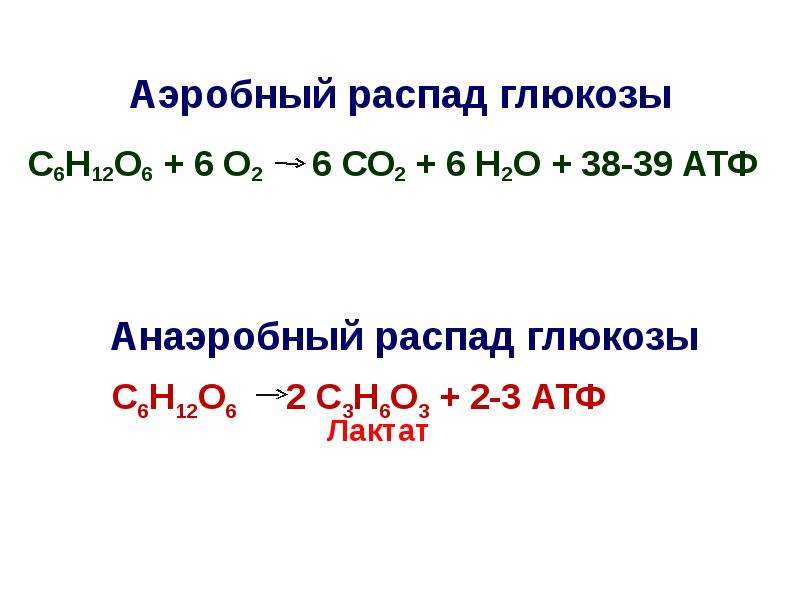 Аэробный распад глюкозы схема