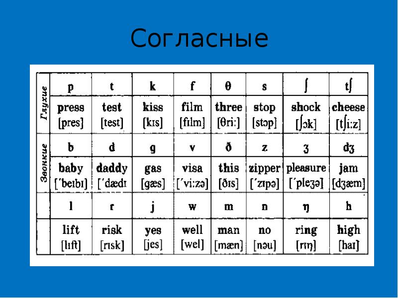 The транскрипция