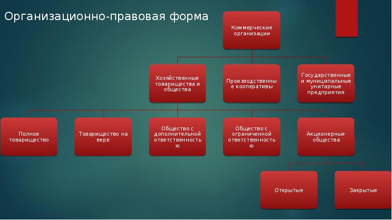 Учреждение предпринимательской организации. Предпринимательская организационная структура. Организационные формы страхового предпринимательства. Хозяйственные организации. Как организовать хозяйственную деятельность в компании.