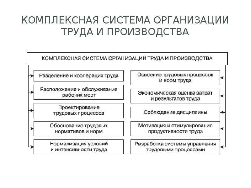 Содержание организационного проекта