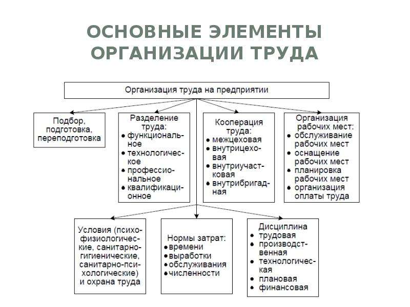 Устройство содержание организация