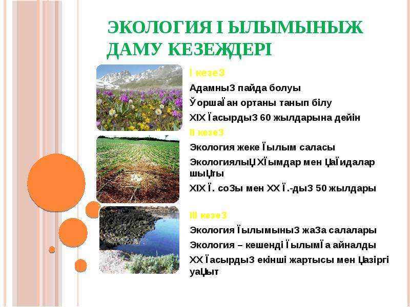 Экология 5 предложений