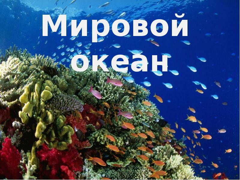 Мировой океан проект