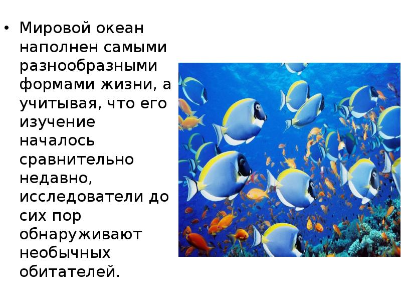 Приведите примеры современных проектов посвященных изучению мирового океана