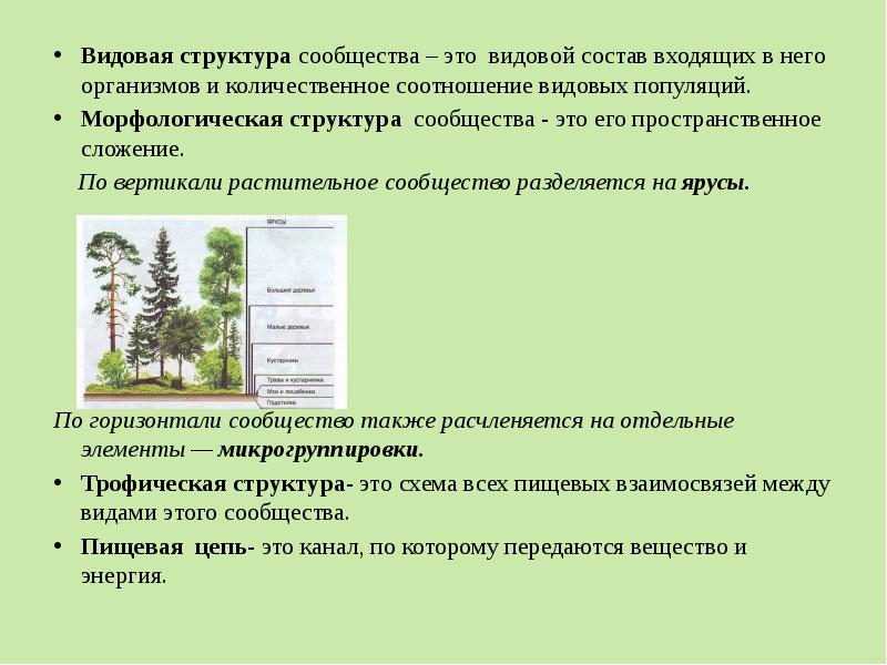 Виды видового состава. Видовой состав. Видовой состав сообщества. Видовая структура сообщества. Видовой состав и видовая структура сообщества.