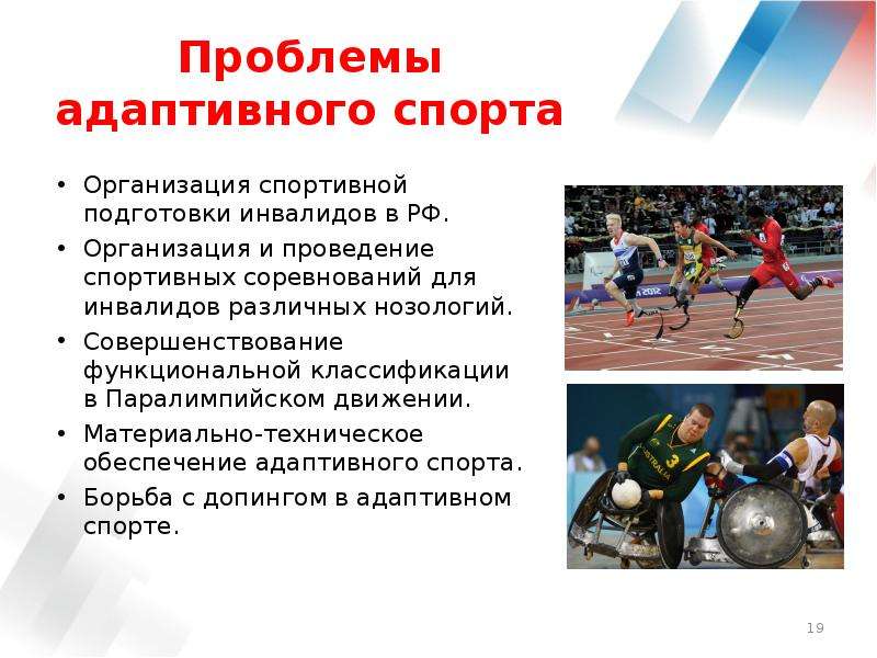 Организация спорта