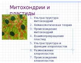 Митохондрии и пластиды