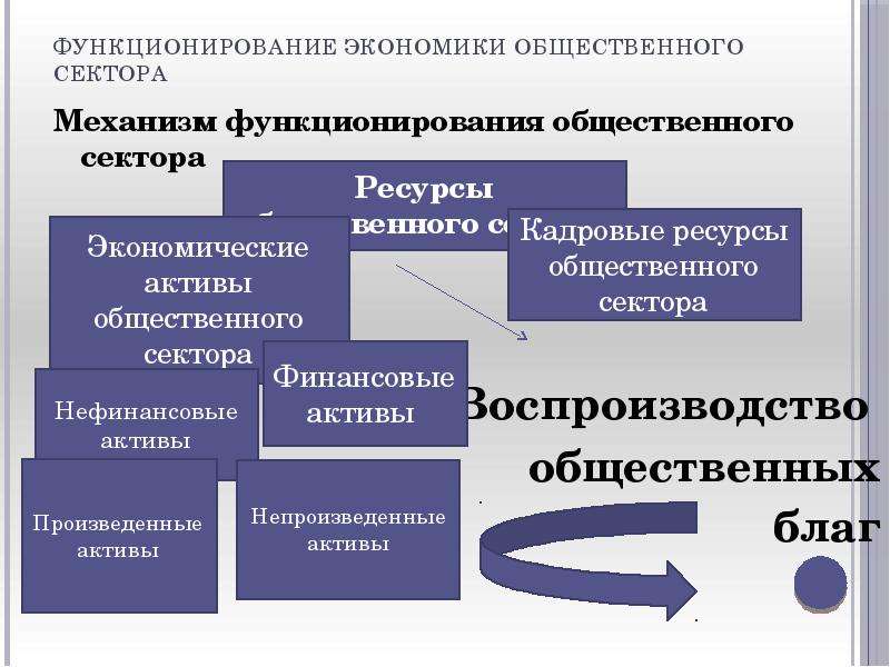 Общественно экономическое развитие