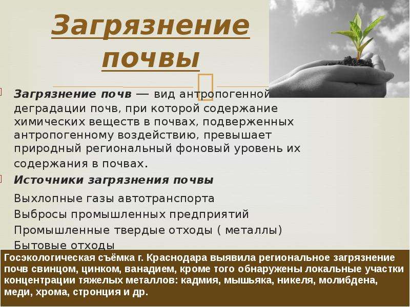 Виды загрязнения почвы. Загрязнение почвы пути решения. Пути решения экологической проблемы загрязнения почвы. Загрязнение почвы пути решения проблемы. Пути решения загрязнения воды и почвы.