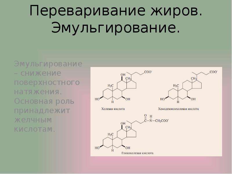 Эмульгирование жиров схема