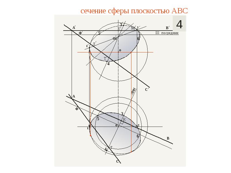 Сечения тел вращения плоскостью