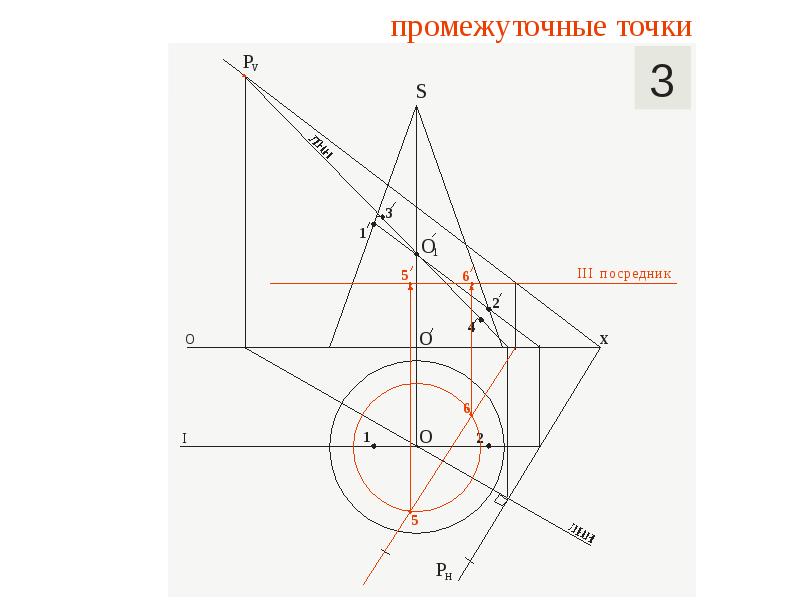 Сечения тел вращения плоскостью