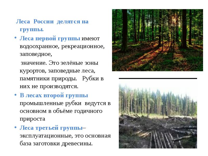 Три группы лесов. Леса делятся на. Леса первой группы. Типы лесов. Рубки в рекреационных лесах.