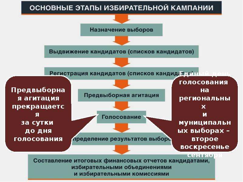 Избирательная кампания план егэ