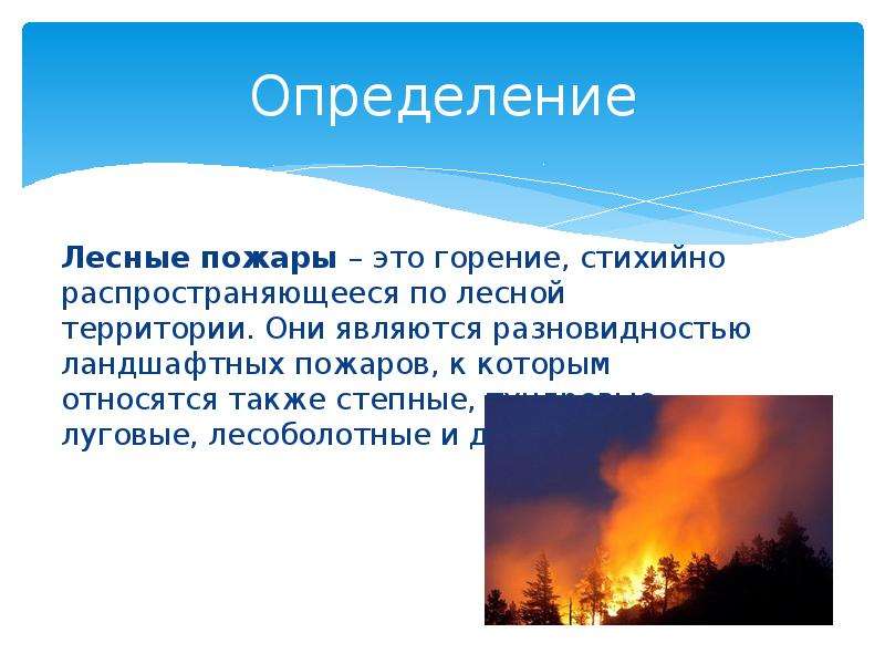 Определение понятию пожар. Лесной пожар это определение. Виды ландшафтных пожаров. Пожар это определение. Понятие лесных пожаров.