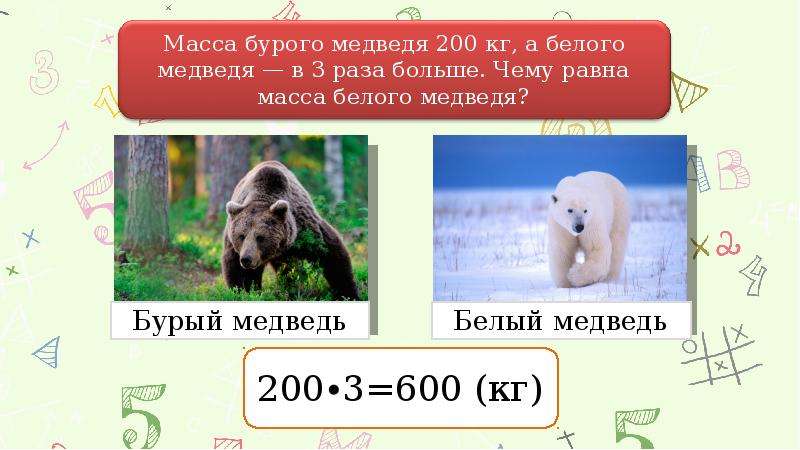 Максимальная скорость бурого медведя км ч. Масса бурого медведя. Бурый медведь вес. Вес белого медведя.