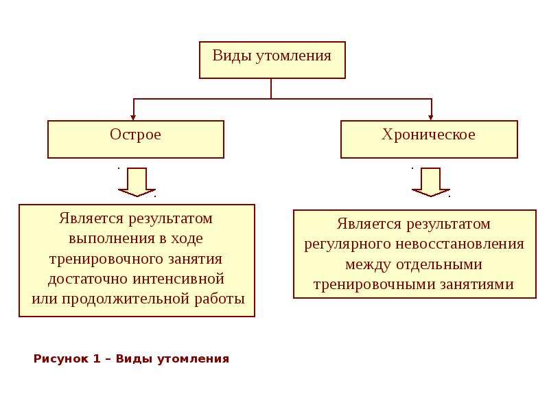 Какая существует схема оценки внешних признаков утомления