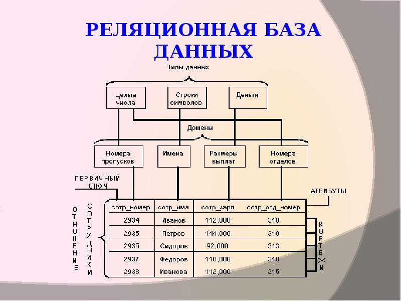 Реляционная база данных основана на представлении