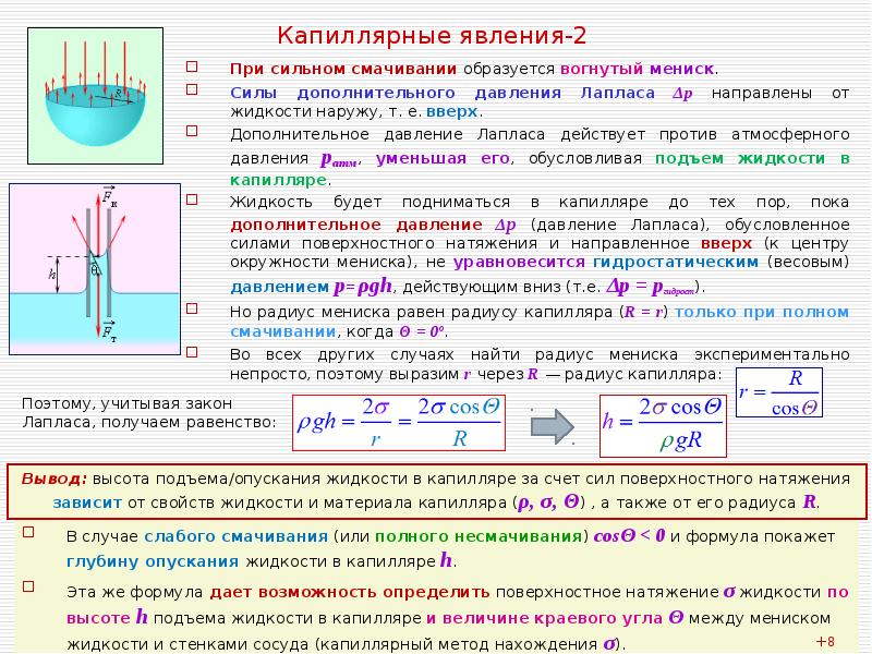 Проект по физике поверхностное натяжение жидкости