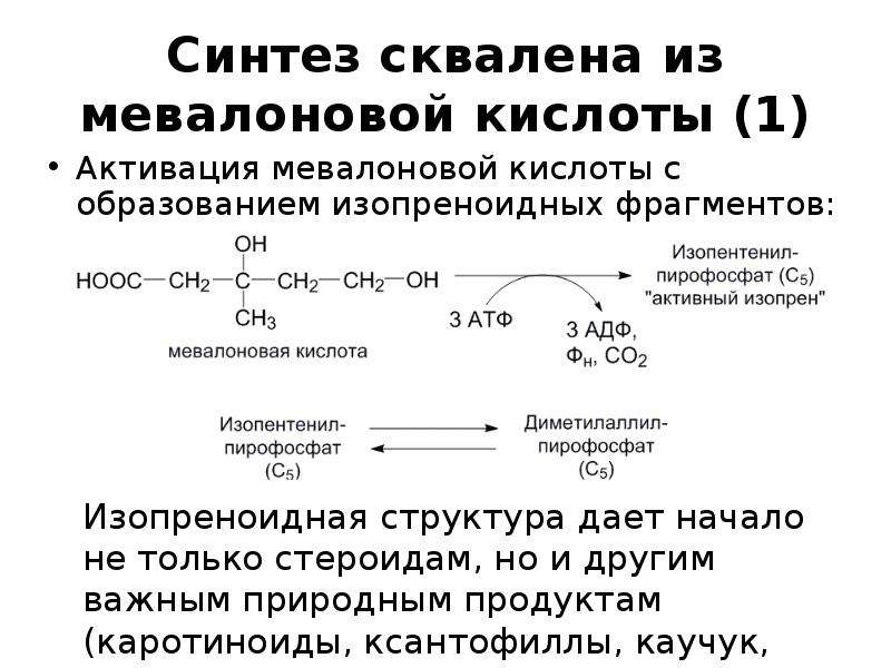 Внутренний синтез. Синтез сквалена из мевалоновой кислоты. Синтез холестерола из мевалоновой кислоты. Синтез холестерина из мевалоновой кислоты. Биосинтез холестерола из сквалена.