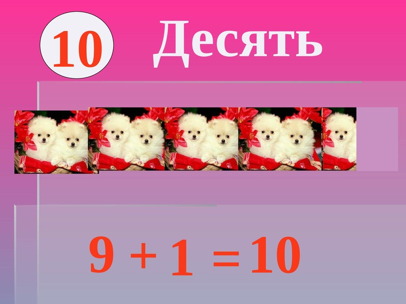 Первые 10. Числа первого десятка. Цифры 1 десятка. 1/ Число е. Цифра 1 фото для презентации.