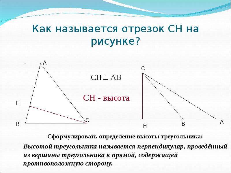 Какой отрезок называется высотой