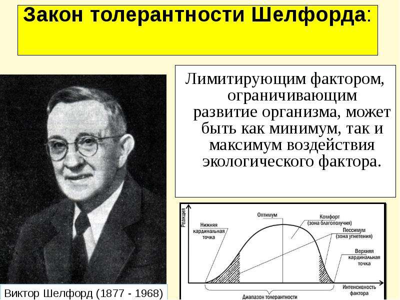 Закон толерантности