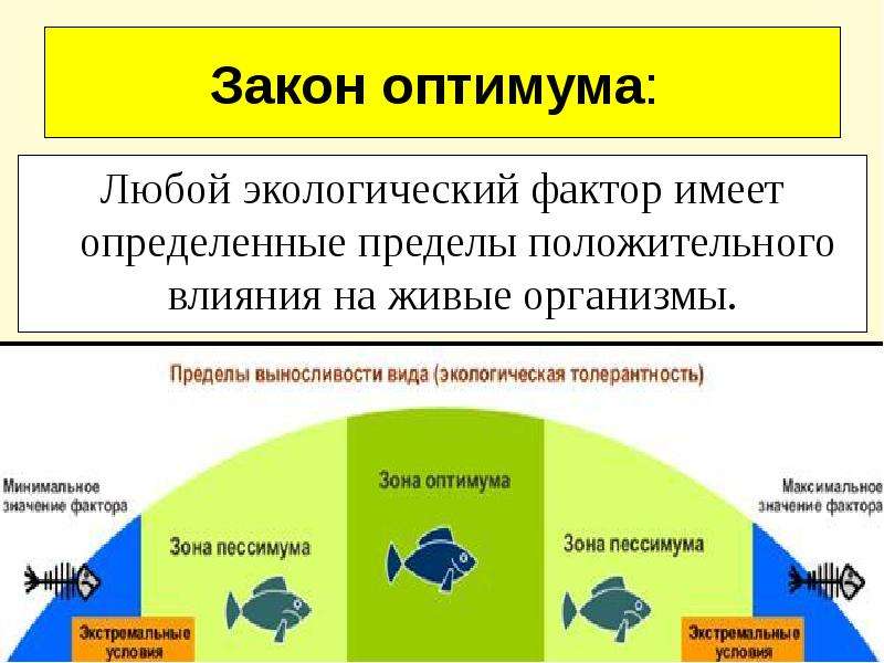 Схема действия факторов среды на живые организмы