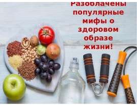 Мифы о здоровом образе жизни