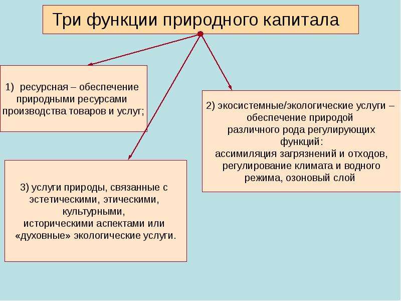 Оценка природного капитала. Функции природных ресурсов. Природно ресурсный капитал проблемы. Проблемы взаимодействия общества и природы. Три основные функции природных ресурсов.