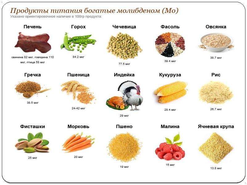 Свинец содержат. Молибден источники в продуктах. Молибден в организме человека и продукты. Продукты богатые молибденом. Молибден содержание в продуктах.