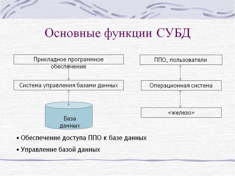 Виды данных на компьютере