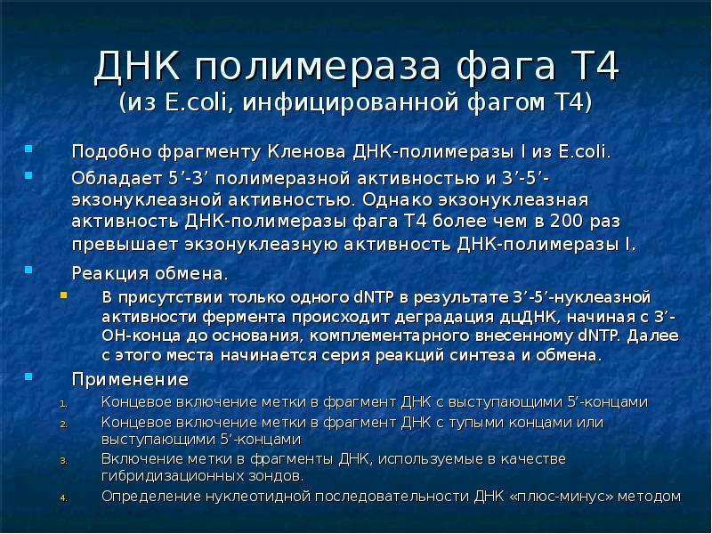 Активности днк полимераз. ДНК-полимераза фага т4. Фрагмент Кленова ДНК полимеразы. Экзонуклеазная активность ДНК полимераз. ДНК полимераза e coli.