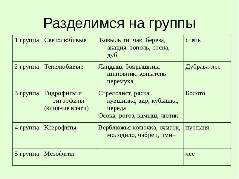 Экологические группы растений презентация 7 класс