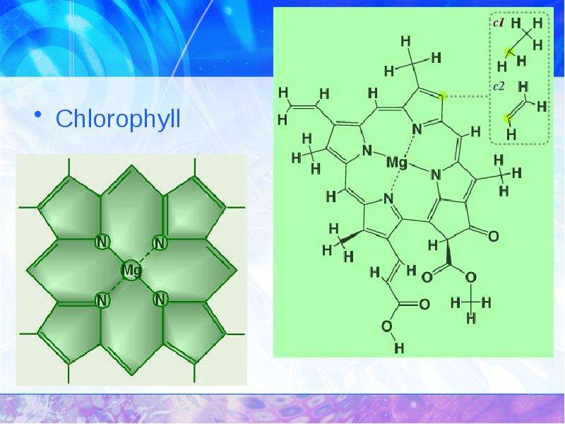 Chlorophyll Chlorophyll