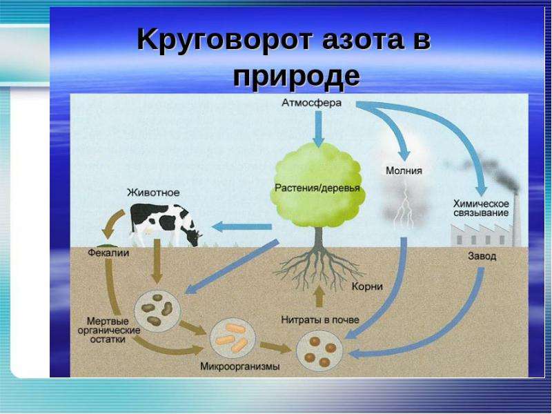 Применение углекислого газа схема