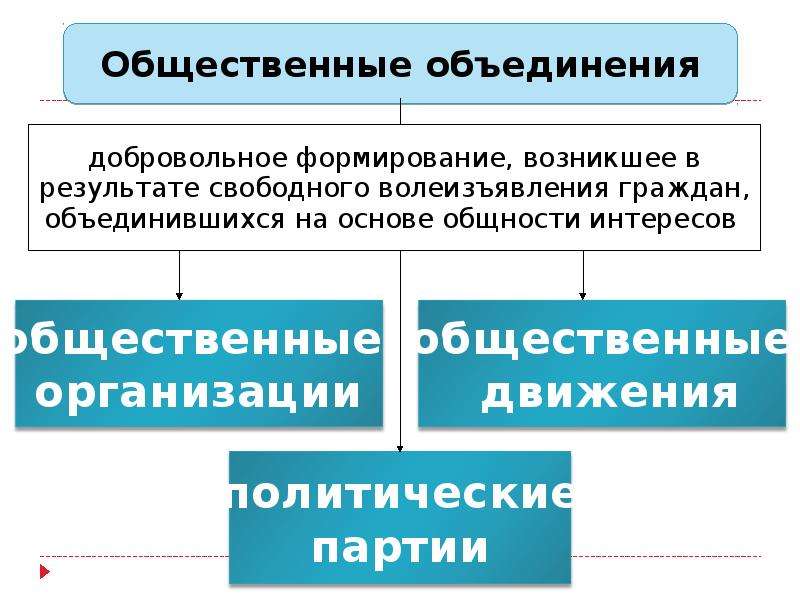 Добровольное формирование. Общественные добровольные формирования. Добровольное формирование виды. Общность интересов. Политическая партия добровольное основе.