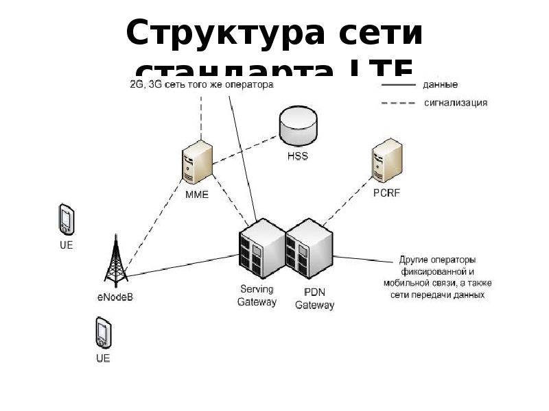 Состав сетей