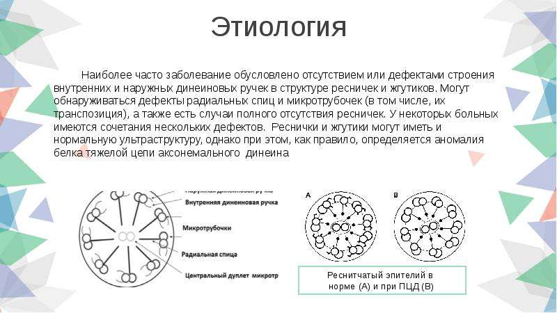 Синдром картагенера презентация