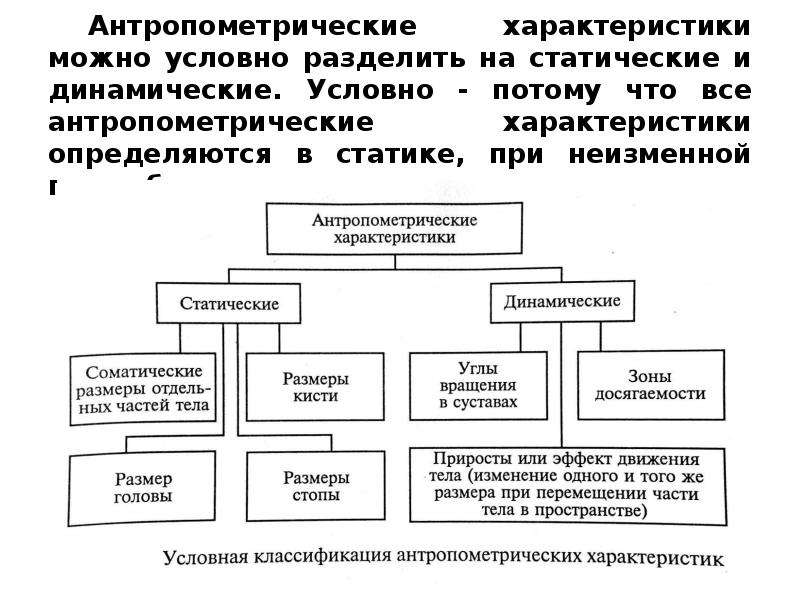 Можно условно разделить. Статические антропометрические характеристики это. Динамические антропометрические. Приведите классификацию антропометрических характеристик.. Антропометрические характеристики человека.